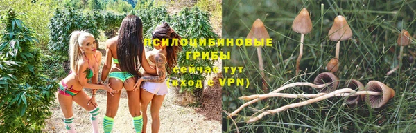 ALPHA-PVP Аркадак