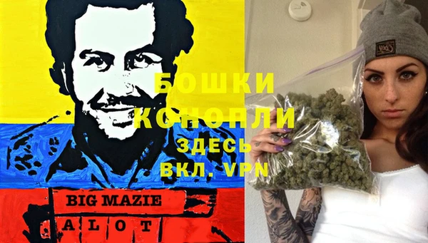ешки Арсеньев