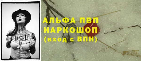 ешки Арсеньев