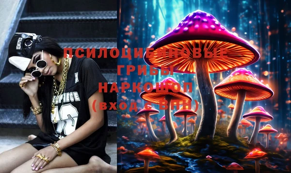 ешки Арсеньев