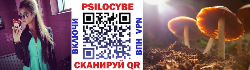 KRAKEN ТОР  цена наркотик  даркнет как зайти  Псилоцибиновые грибы мицелий  Сосновка 